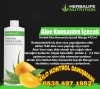 HERBALİFE HERBAL ALOE KONSATRE İÇECEK MANGO AROMALI