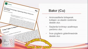 HERBALİFE ÜRÜN SİPARİŞİ KÜÇÜKÇEKMECE 0535 497 19 52