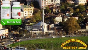 Herbalife Alibeyköy 0535 497 19 52  Herbalife Bagımsız Üyesi
