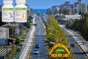 HERBAlLİFEMERSİN ANAMUR ŞUBESİ 0535 497 19 52 HERBALİFE BAGIMSIZ ÜYESİ