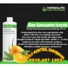 HERBALİFE ALOE MANGO İÇECEK